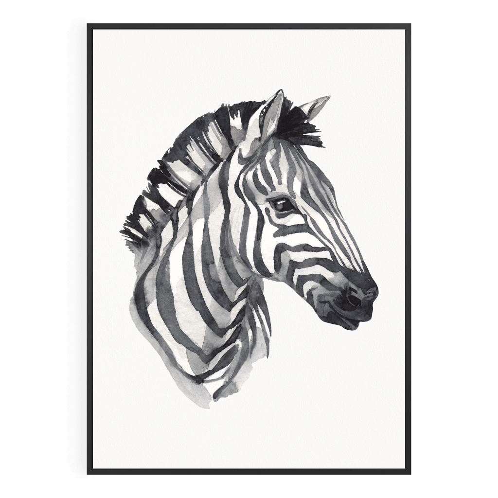 Plakat Zebra - Kolekcja Safari